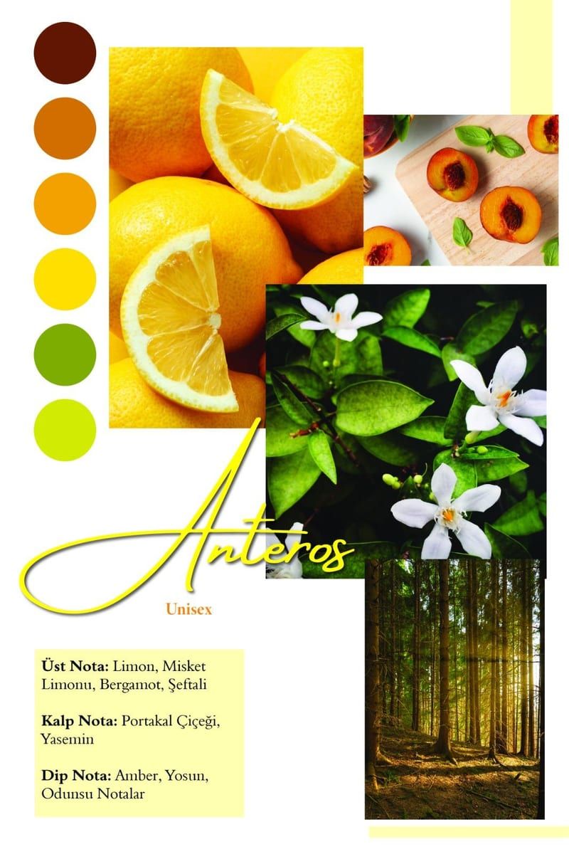 Anteros Extrait de Parfum 2