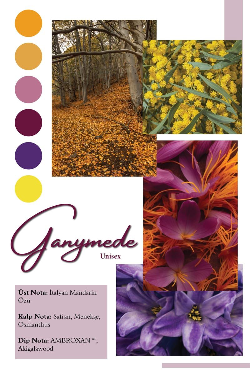 Ganymede Extrait de Parfum 4