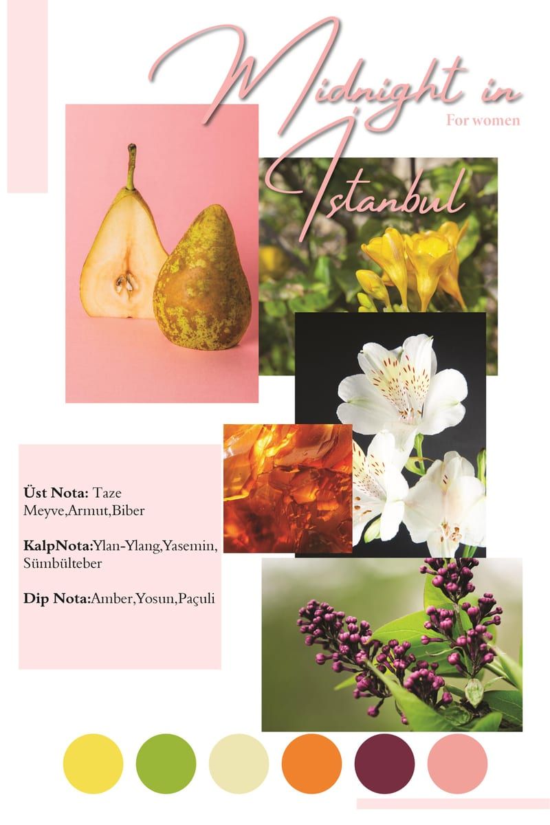 Midnight in Istanbul Kadın Extrait de Parfum 3